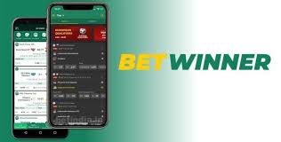 Comprehensive Overview of BetWinner Cameroon A Leading Betting Platform 1955050597
